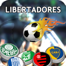 APK Libertadores Game Soccer