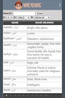 Name Meaning پوسٹر