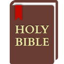 Bible Pro APK