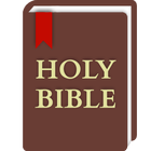 Bible Pro 圖標