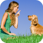 Dog Training آئیکن