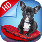 Fondos De Pantalla De Perros icono