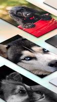 Fondos De Pantalla De Perros Poster