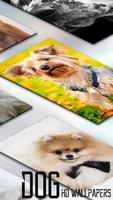 Fondos De Pantalla De Perros captura de pantalla 2