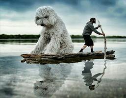 Giant Dog Wallpapers Cartaz