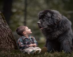 Giant Dog Wallpapers syot layar 1