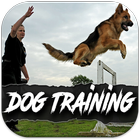 Dog free Training icono