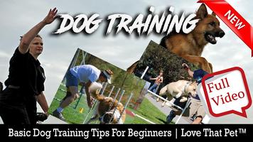 Dog free Training Poster