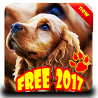 enfermedades de perro icono