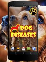 enfermedades de perro Poster