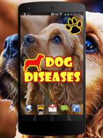 Dog Diseases 포스터