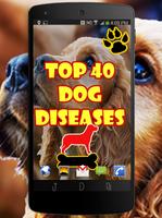 Dog Diseases 스크린샷 1