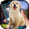 Dog on Screen Simulated APK