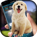 Hund auf Schirmwitz - iDog APK