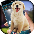 الكلب على الشاشة نكتة - iDog أيقونة