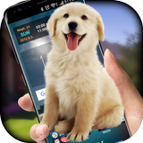 Dog on Screen Simulated icon