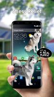 Dog on Screen Simulated স্ক্রিনশট 2