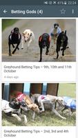 Dog Racing News plakat