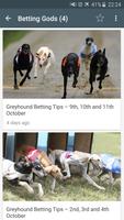 Dog Racing News постер