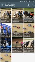 Dog Racing News скриншот 1