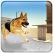 Crazy Dog Racing Stunt Fever Simulator 3D