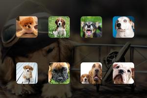 Dog Sounds Game الملصق