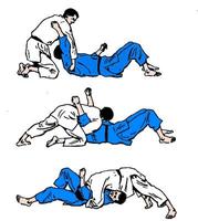 Martial Arts Techniques 스크린샷 3