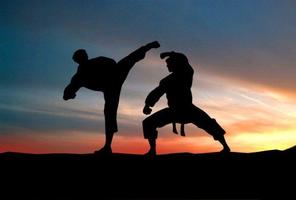 Martial Arts Techniques 스크린샷 1
