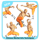 Chinese Martial Arts Techniques aplikacja