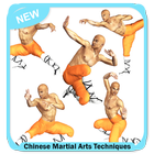 Chinese Martial Arts Techniques icône