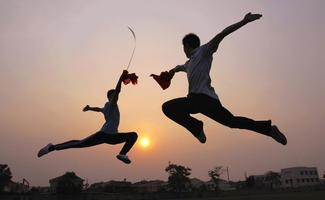 Chinese Martial Arts Techniques Affiche