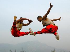 Chinese Martial Arts Techniques capture d'écran 2
