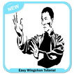 Easy Wingchun Tutorial