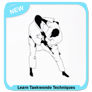 Easy Learn Taekwondo Techniques aplikacja