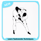 Easy Learn Taekwondo Techniques simgesi