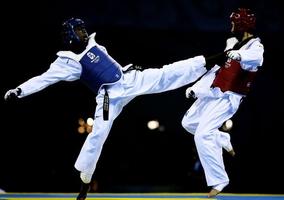 برنامه‌نما Easy Learn Taekwondo Techniques عکس از صفحه