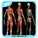Learn Anatomy 3D aplikacja