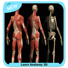 Learn Anatomy 3D icône
