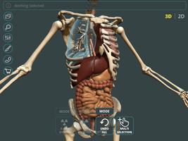 Learn Anatomy 3D capture d'écran 1