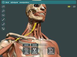 Learn Anatomy 3D capture d'écran 3