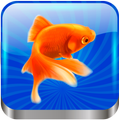 Gold Fish Slot