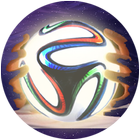 DooDy EURO 2016 Enlighten icône