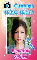 Camera Wink HD Plus2 پوسٹر