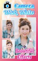 Camera Wink HD Plus2 اسکرین شاٹ 3