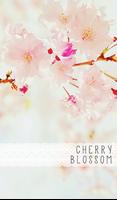 cherry blossom 카카오톡 테마 Cartaz