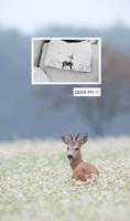 deer my 카카오톡 테마 포스터