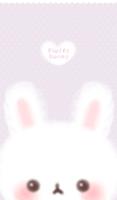 Fluffy bunny 카카오톡 테마 poster
