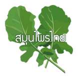 สมุนไพรไทย - 220+ ชนิด