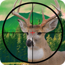 Real Animal Hunting In Forest APK