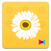 New IU Shake APK